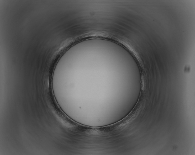 X0000091690253200708231137
