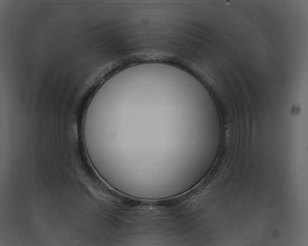 X0000091690254200708231137