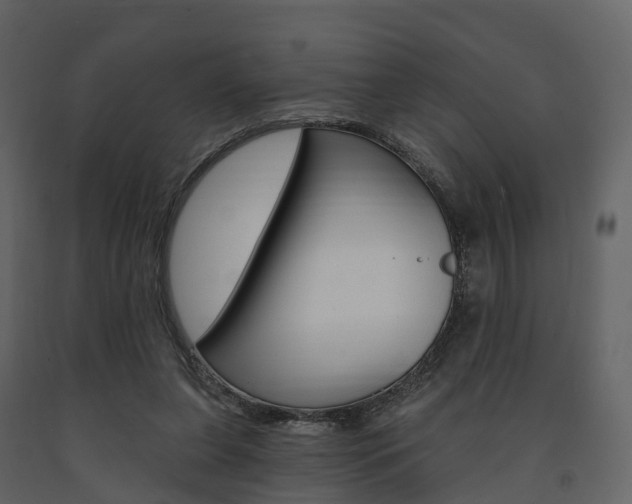 X0000091690255200708231137
