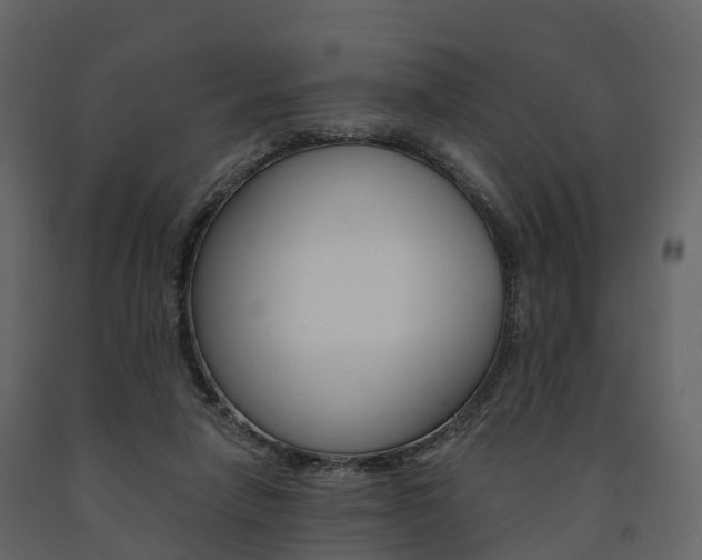 X0000091690258200708231137