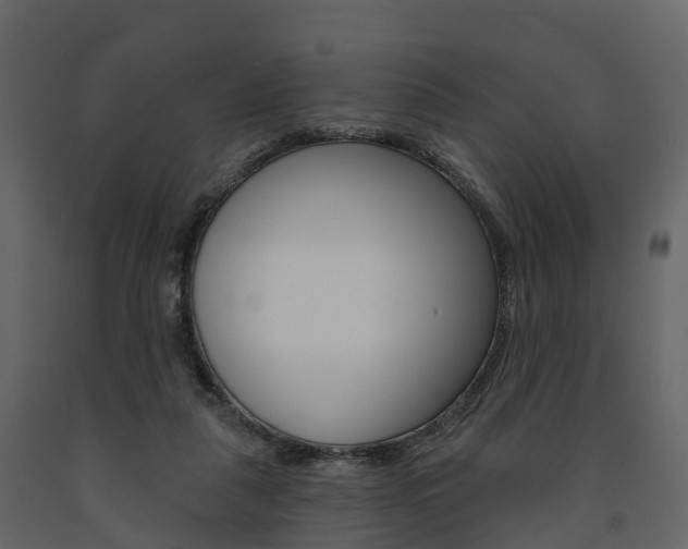 X0000091690259200708231137