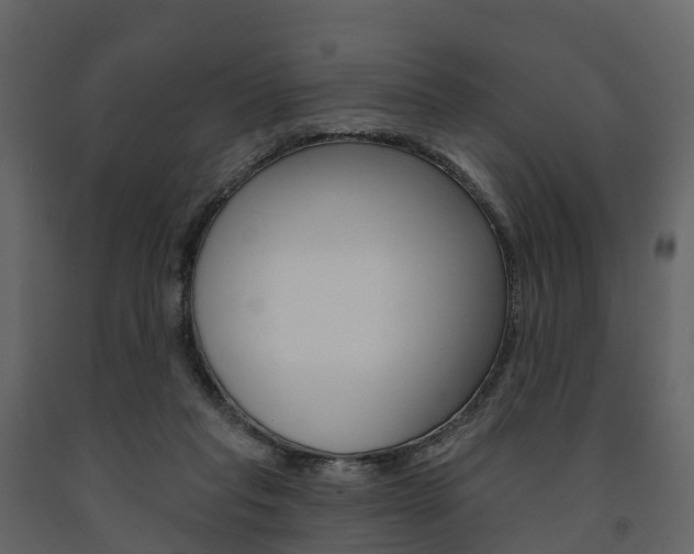 X0000091690261200708231137