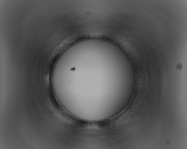 X0000091690262200708231137