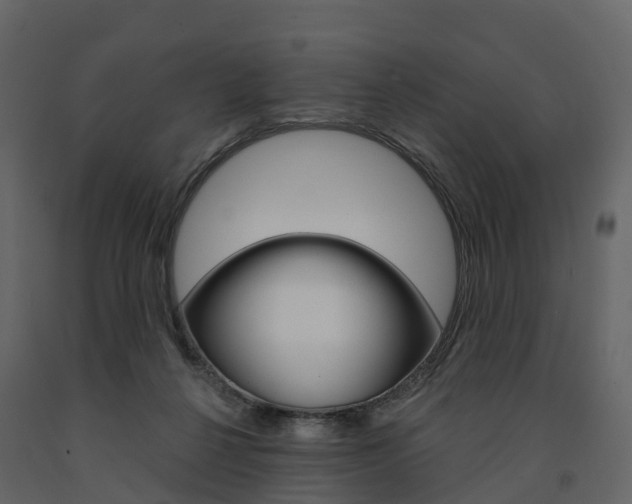 X0000091690264200708231137
