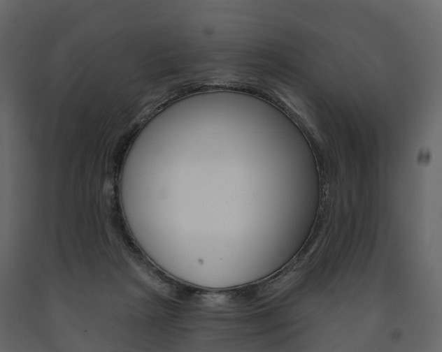 X0000091690265200708231137