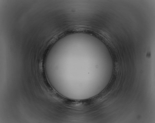X0000091690267200708231137
