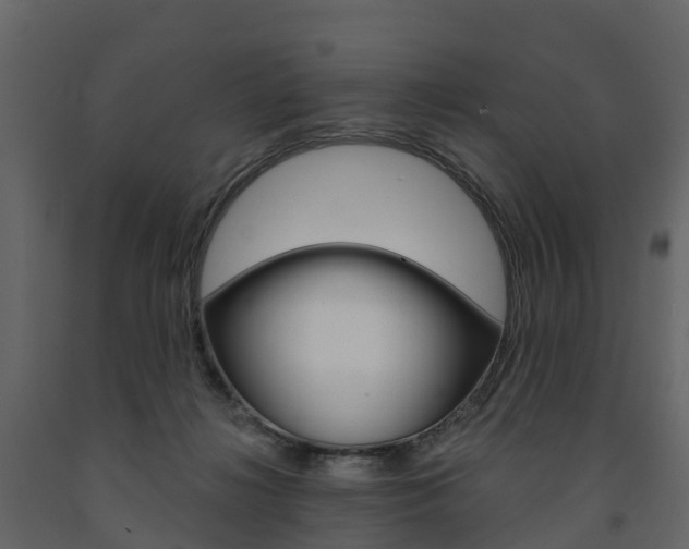 X0000091690268200708231137