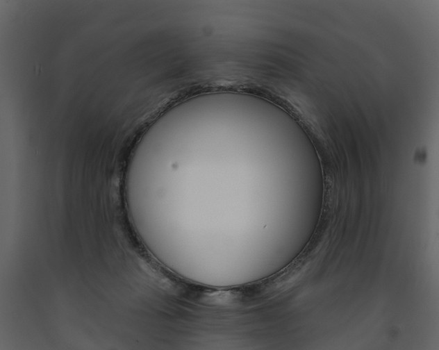 X0000091690269200708231137