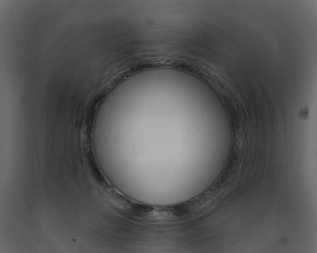 X0000091690270200708231137