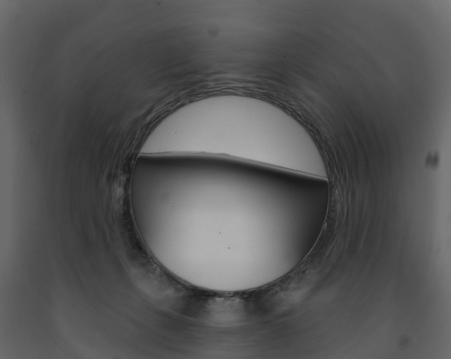 X0000091690271200708231137