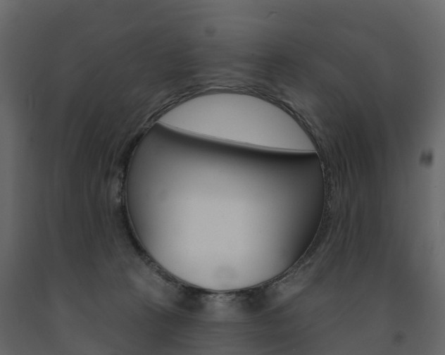 X0000091690273200708231137