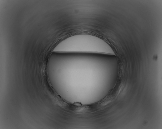 X0000091690274200708231137
