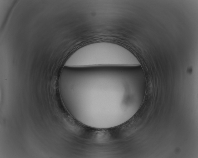X0000091690275200708231137