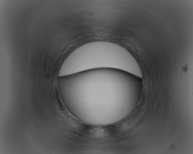 X0000091690276200708231137