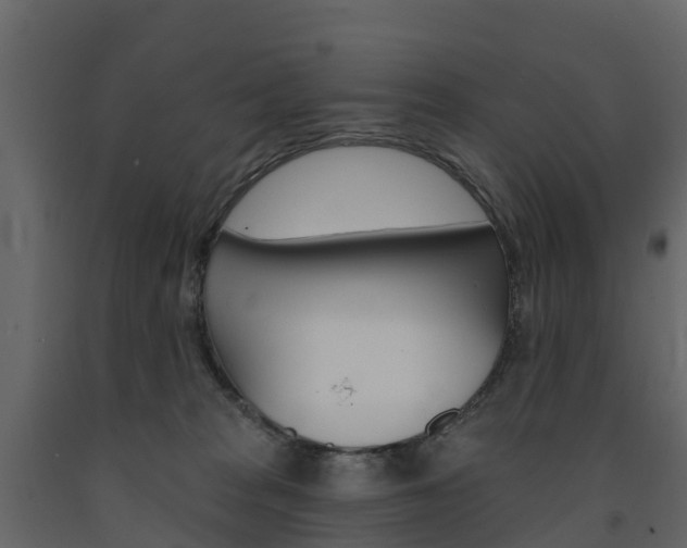 X0000091690277200708231137