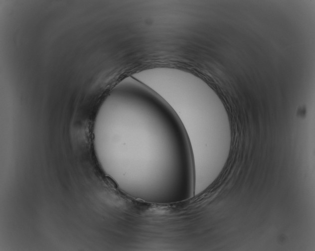 X0000091690280200708231137
