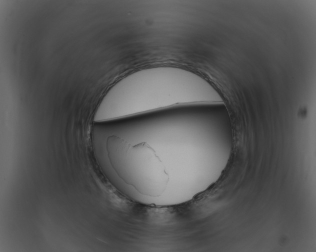 X0000091690281200708231137
