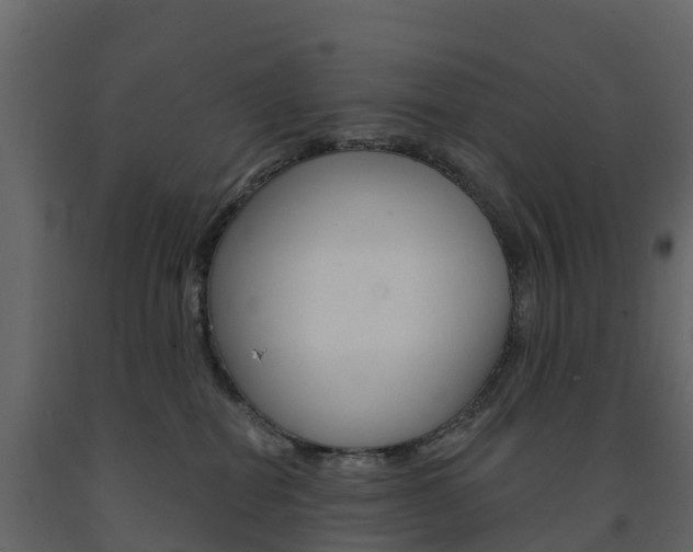 X0000091690282200708231137