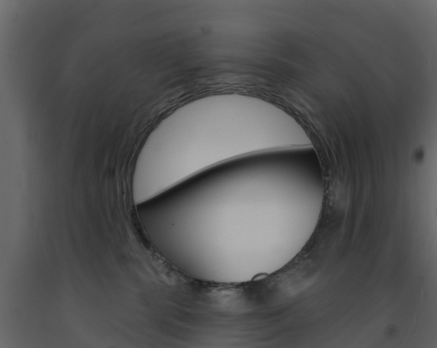 X0000091690283200708231137