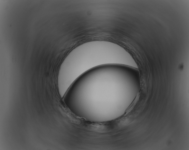 X0000091690284200708231137