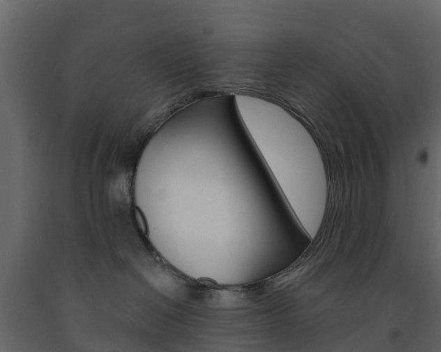 X0000091690286200708231137