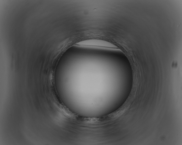 X0000091690288200708231137