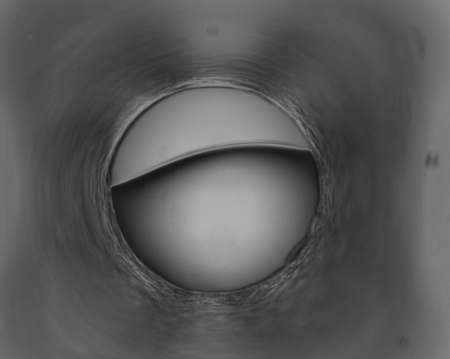 X0000091690289200708231136