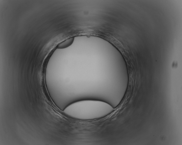 X0000091690290200708231136