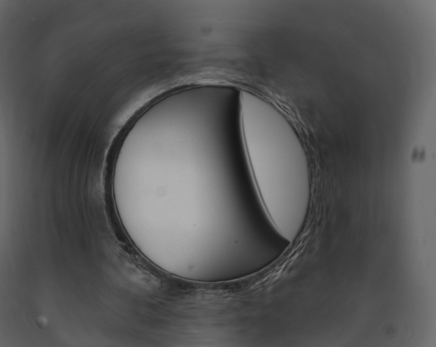 X0000091690292200708231136