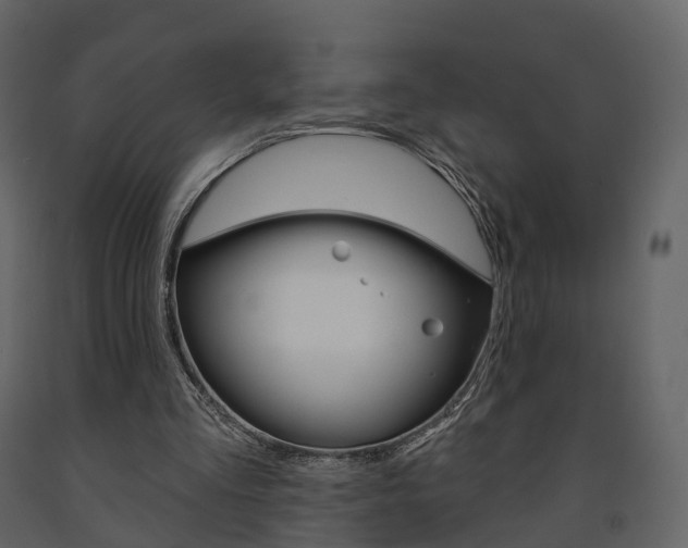 X0000091690293200708231136