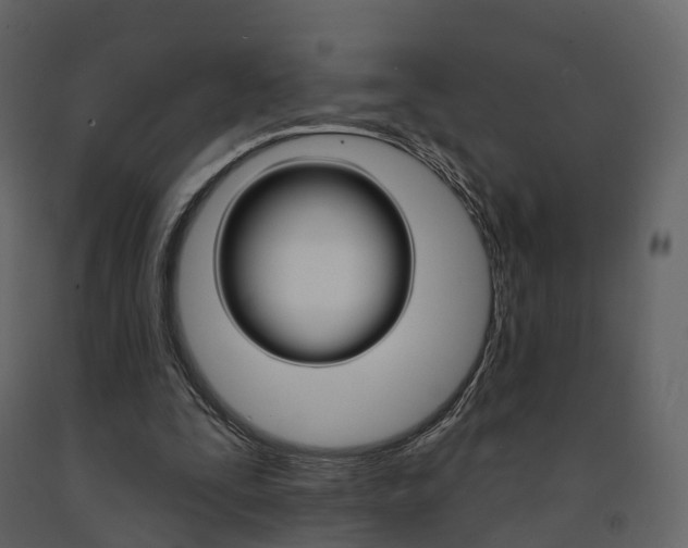 X0000091690295200708231136
