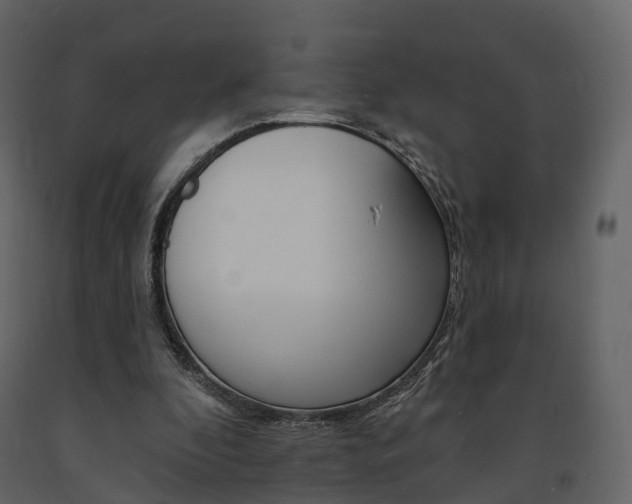 X0000091690296200708231136