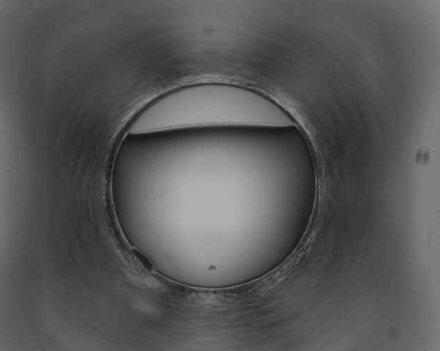 X0000091690297200708231136