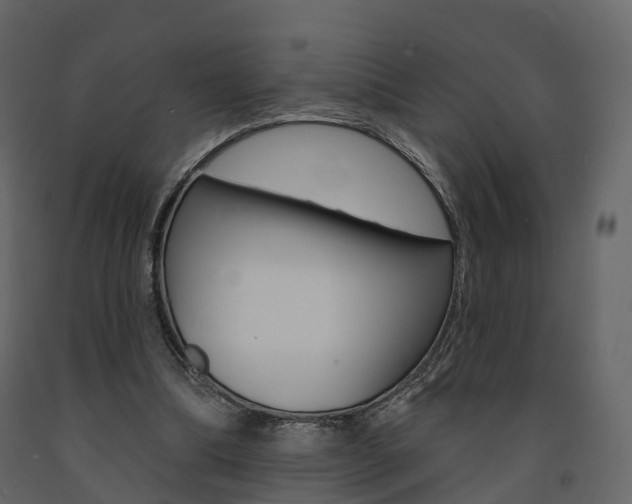 X0000091690298200708231136
