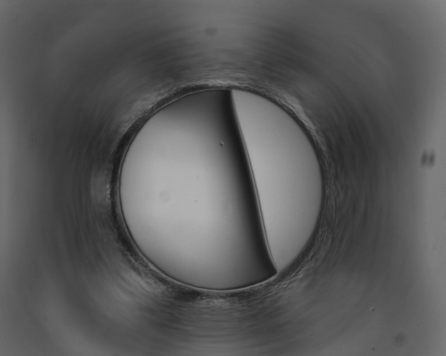 X0000091690299200708231136