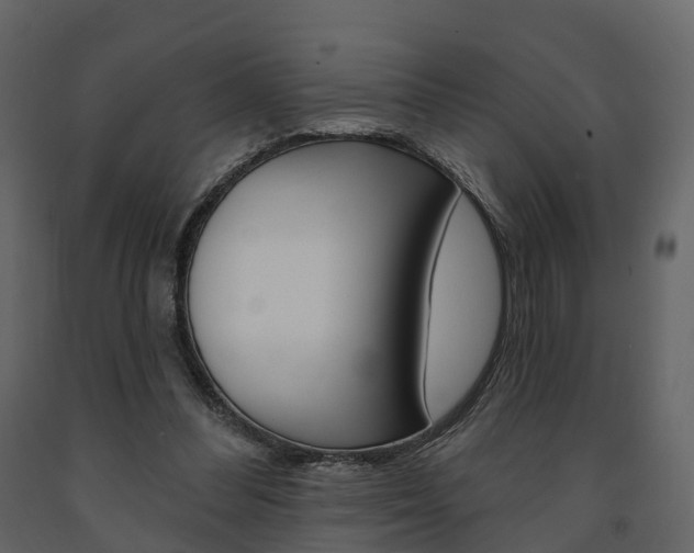 X0000091690300200708231136