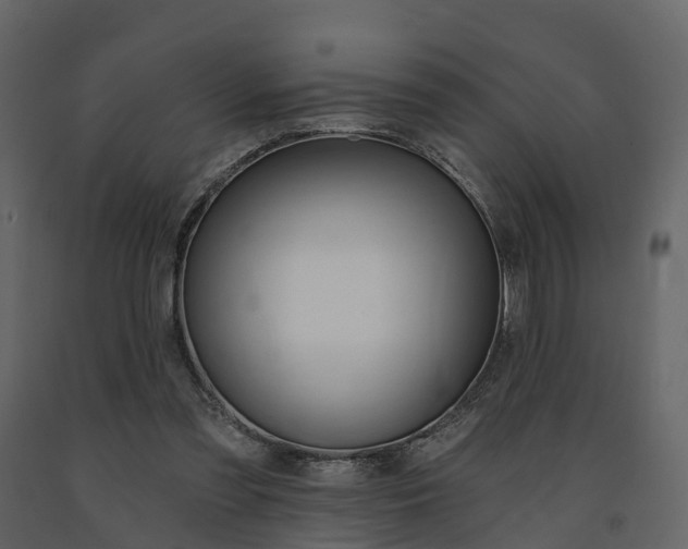 X0000091690301200708231136