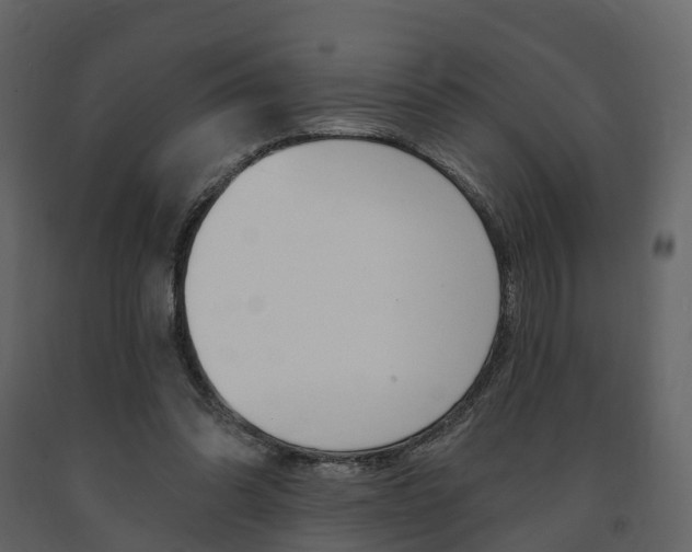 X0000091690302200708231136