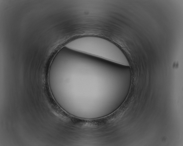 X0000091690303200708231136