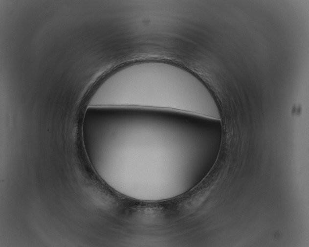 X0000091690304200708231136