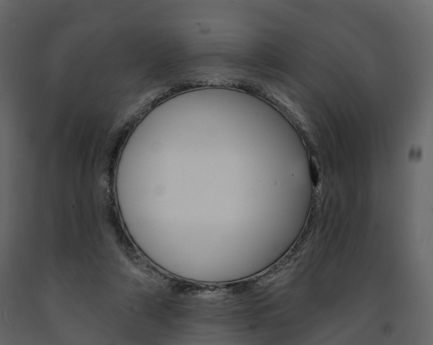 X0000091690306200708231136