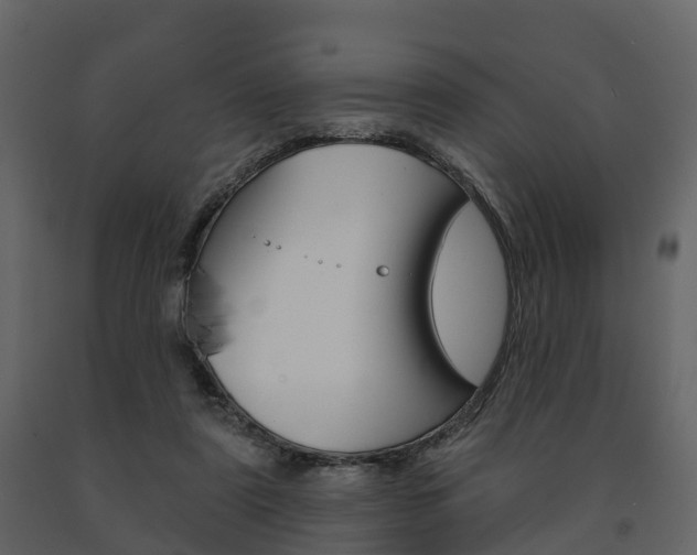 X0000091690307200708231136