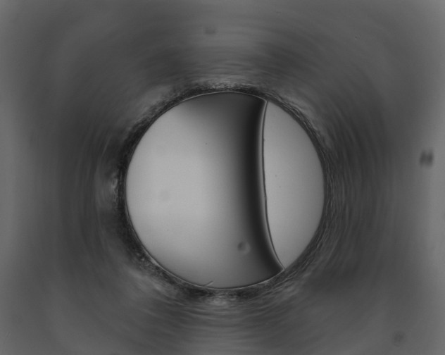 X0000091690308200708231136