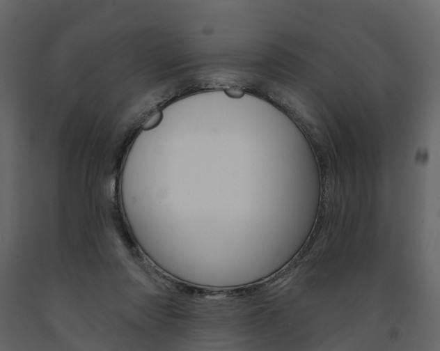 X0000091690310200708231136