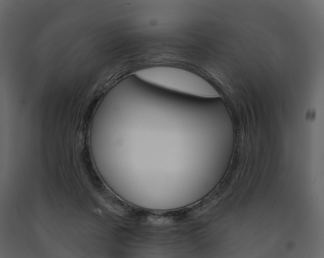 X0000091690311200708231136