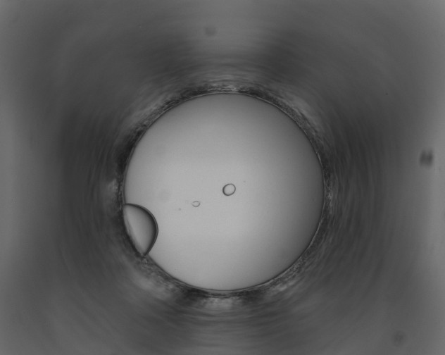 X0000091690314200708231136