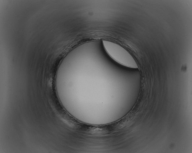X0000091690315200708231136