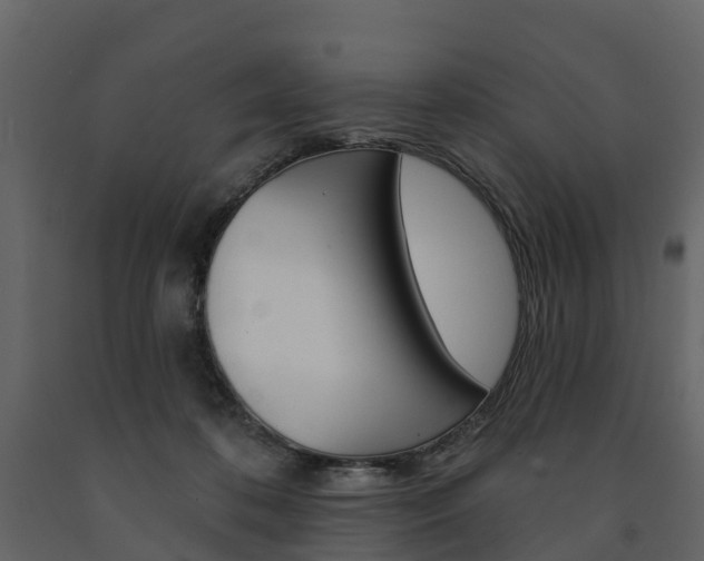 X0000091690316200708231136