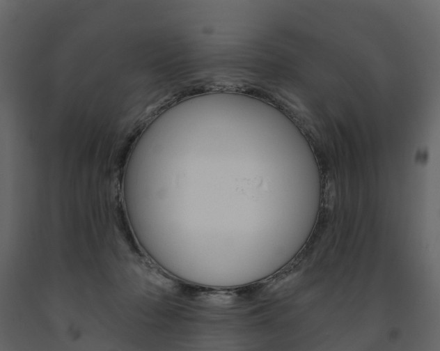 X0000091690318200708231136