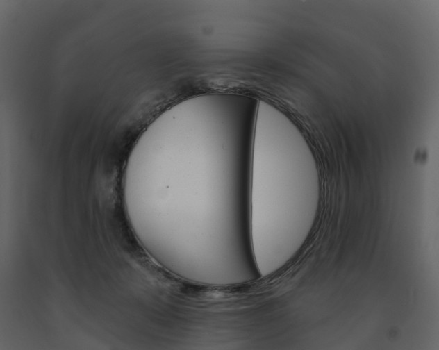 X0000091690319200708231136